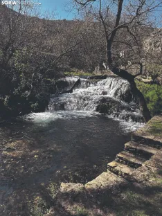 Foto 17 - Ruta: Ca&ntilde;&oacute;n del Talegones y sus narcisos