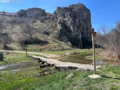 Foto 14 - Ruta: Ca&ntilde;&oacute;n del Talegones y sus narcisos