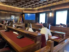 Foto 5 - Un laberinto de autores, un circuito de coches teledirigidos, un bosque m&aacute;gico o diversos parques, propuestas de los presupuestos infantiles para Soria