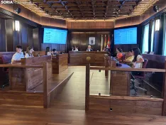 Foto 6 - Un laberinto de autores, un circuito de coches teledirigidos, un bosque m&aacute;gico o diversos parques, propuestas de los presupuestos infantiles para Soria