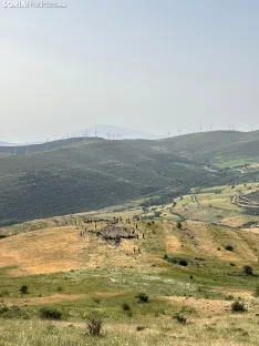 Última trashumancia merina en Soria. / Imágenes cedidas por la Mancomunidad de Tierras Altas