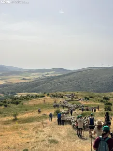 Última trashumancia merina en Soria. / Imágenes cedidas por la Mancomunidad de Tierras Altas