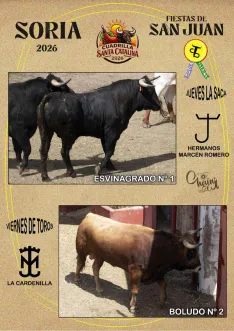 Foto 3 - Estos son los novillos de cada cuadrilla para el Jueves La Saca y el Viernes de Toros