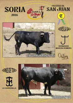 Foto 4 - Estos son los novillos de cada cuadrilla para el Jueves La Saca y el Viernes de Toros