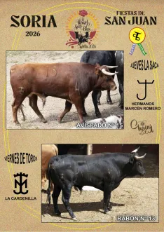 Foto 5 - Estos son los novillos de cada cuadrilla para el Jueves La Saca y el Viernes de Toros