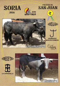 Foto 6 - Estos son los novillos de cada cuadrilla para el Jueves La Saca y el Viernes de Toros