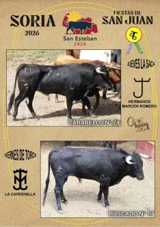 Foto 10 - Estos son los novillos de cada cuadrilla para el Jueves La Saca y el Viernes de Toros