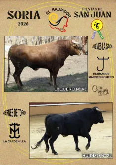 Foto 11 - Estos son los novillos de cada cuadrilla para el Jueves La Saca y el Viernes de Toros