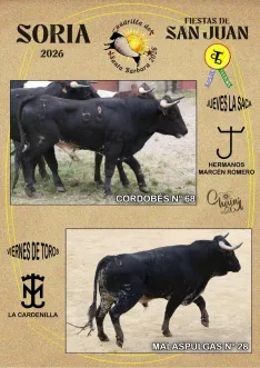 Foto 12 - Estos son los novillos de cada cuadrilla para el Jueves La Saca y el Viernes de Toros