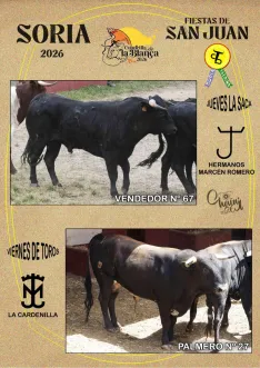 Foto 13 - Estos son los novillos de cada cuadrilla para el Jueves La Saca y el Viernes de Toros