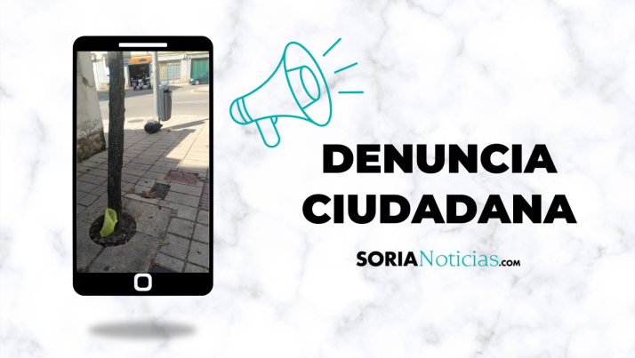 Los vecinos también son responsables: cacas de perro y basura abandonada en Santa Bárbara