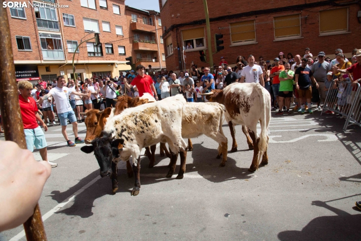 Coso de San Benito
