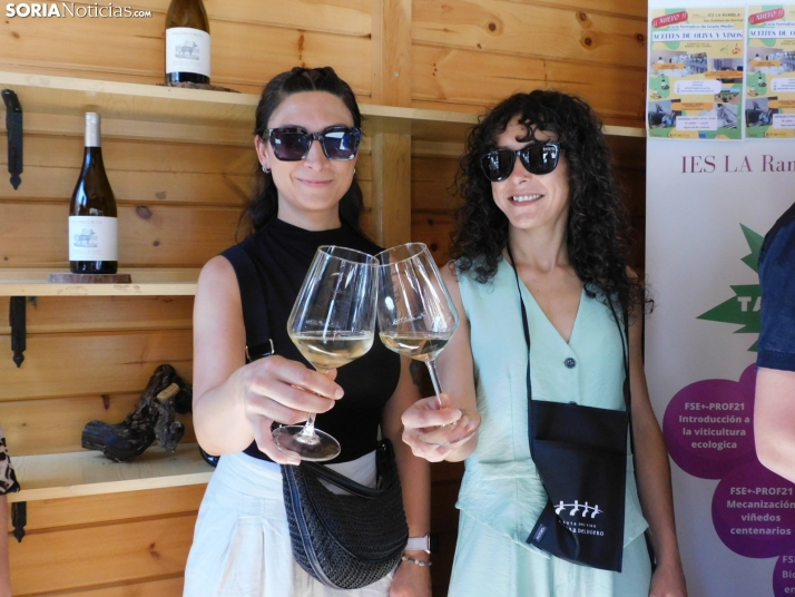 Once bodegas y los mejores sabores sorianos se citan en la Feria del Vino de San Esteban