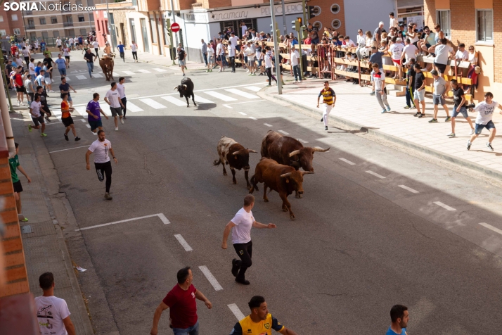 Encierro de San Juan 2026