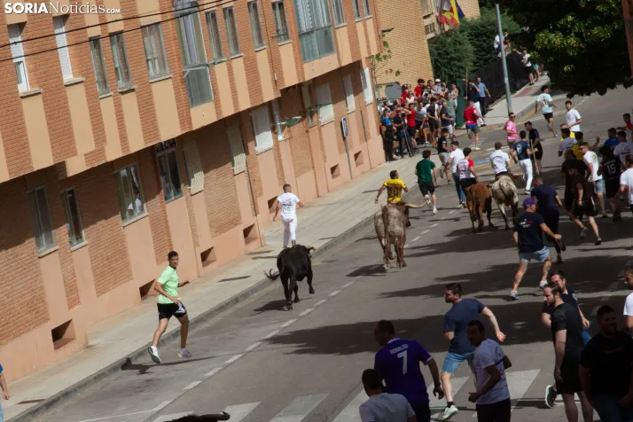 Encierro de San Juan 2026