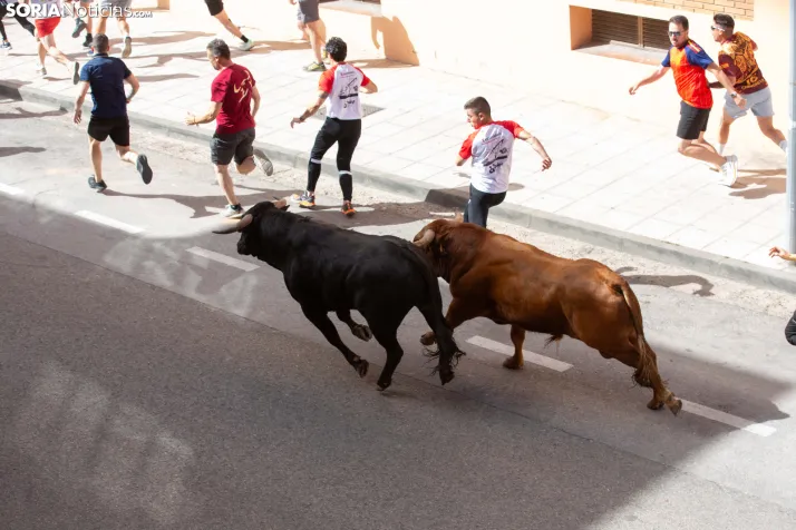 Encierro de San Juan 2026