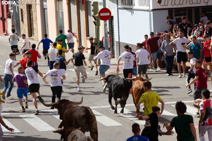 Encierro de San Juan 2026