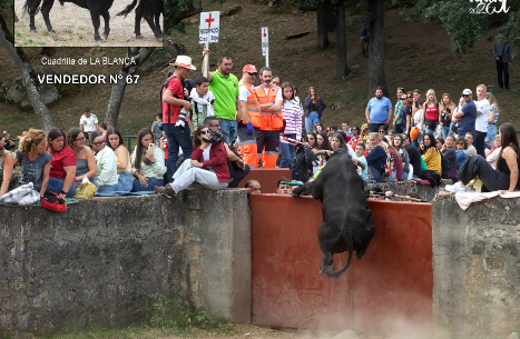 El espectacular salto de un toro que se ha hecho viral en Valonsadero