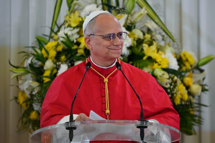 Más de 300 sorianos asistirán a la visita del Papa León XIV a Madrid este fin de semana