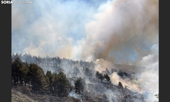 CSIF tacha de propaganda insititucional la campaña de incendios de la Junta