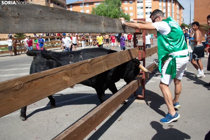 La Saca 2026