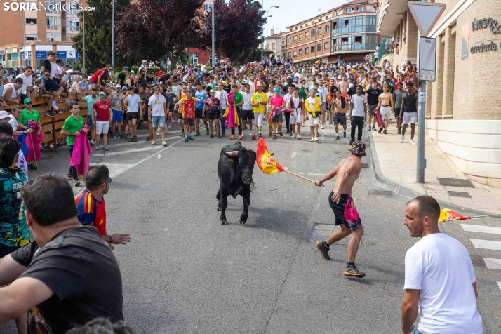 La Saca 2026