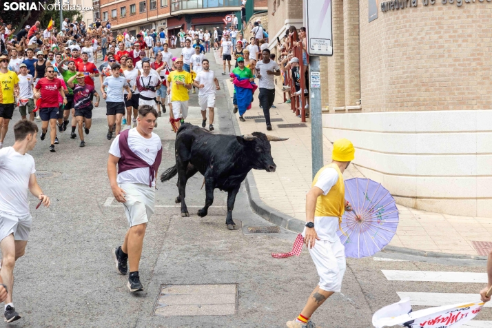 La Saca 2026