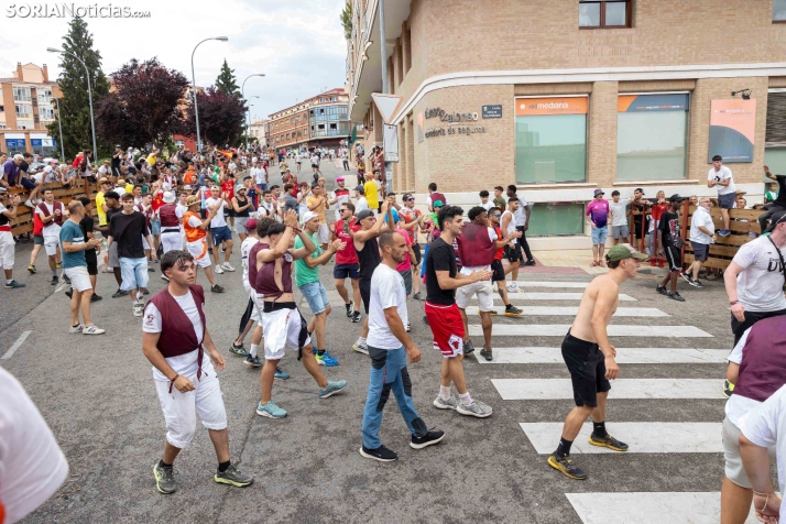 La Saca 2026