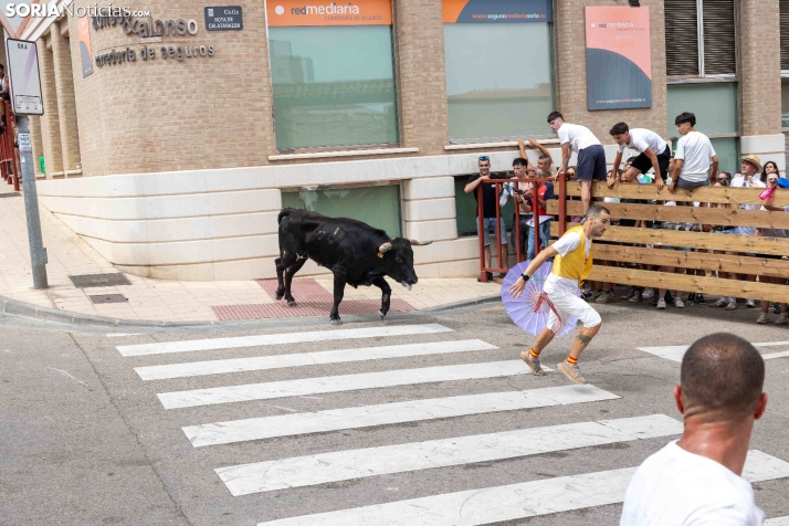 La Saca 2026