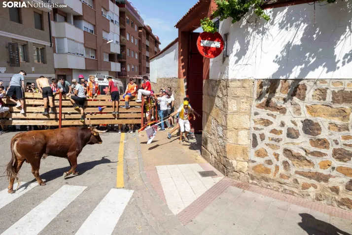 La Saca 2026
