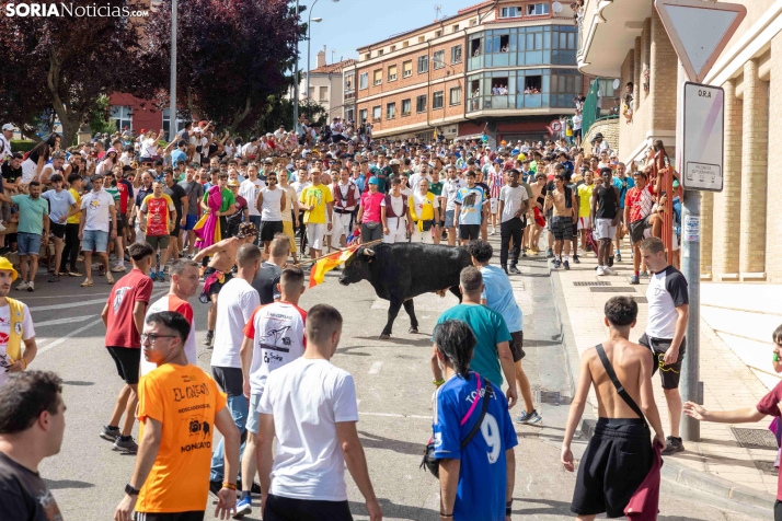 La Saca 2026