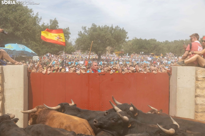 La Saca 2026
