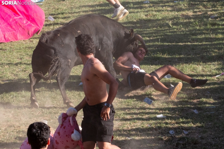 Lavalenguas 2026