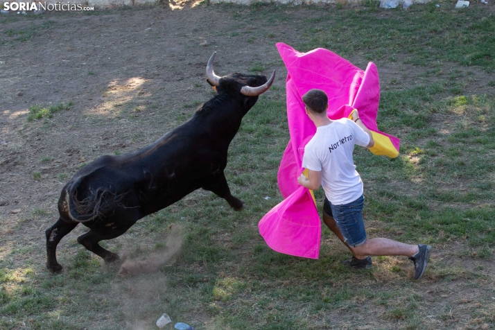 Lavalenguas 2026