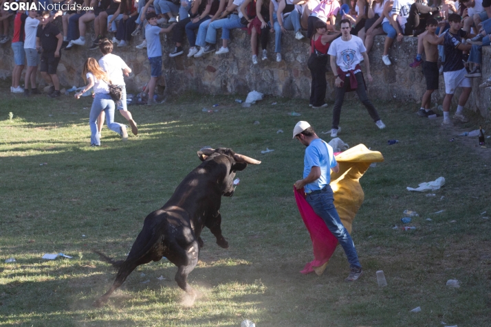 Lavalenguas 2026