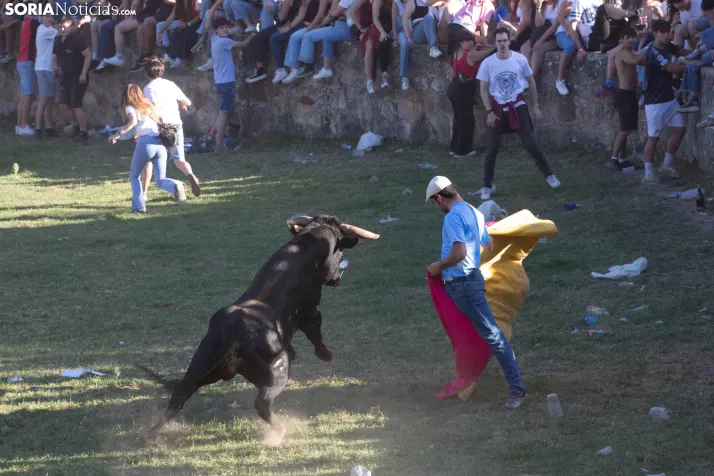 Lavalenguas 2026