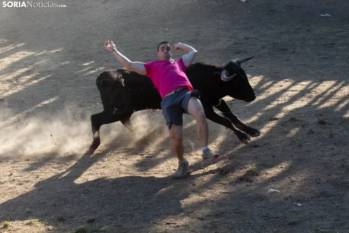 Lavalenguas 2026