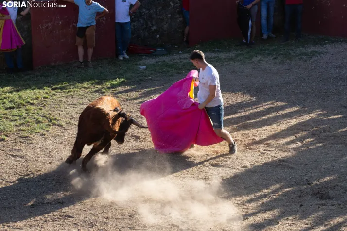 Lavalenguas 2026