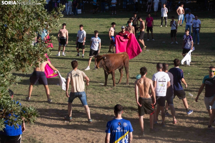 Lavalenguas 2026