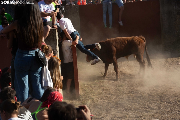 Lavalenguas 2026