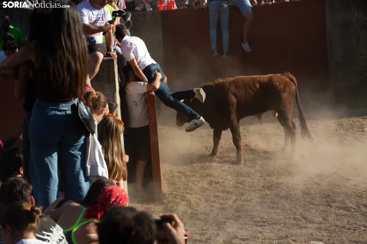 Lavalenguas 2026