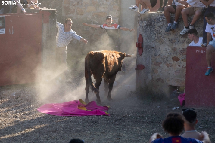 Lavalenguas 2026