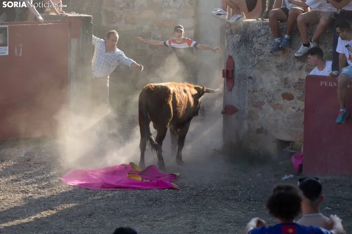 Lavalenguas 2026