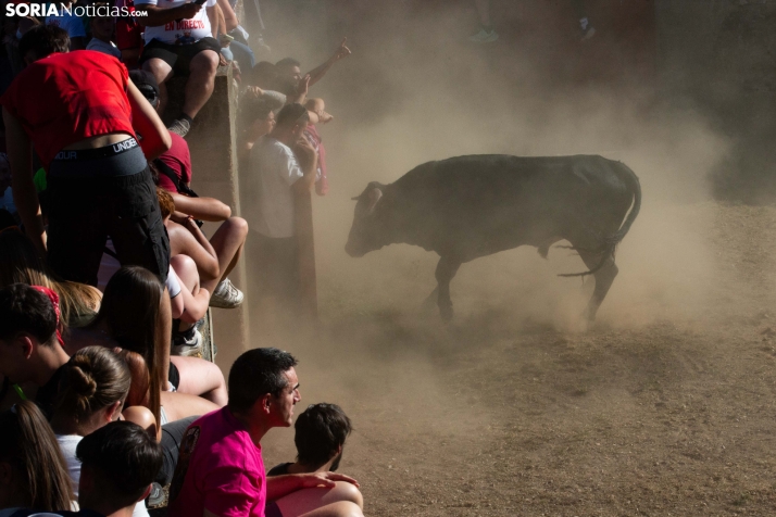 Lavalenguas 2026