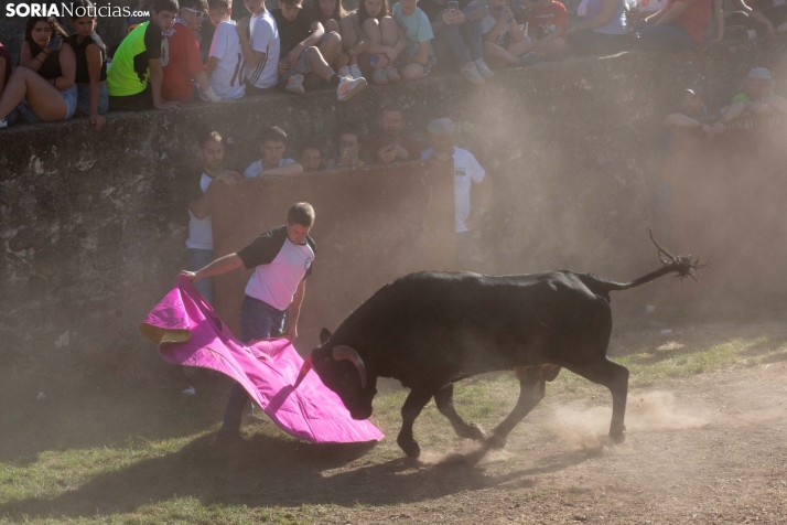 Lavalenguas 2026