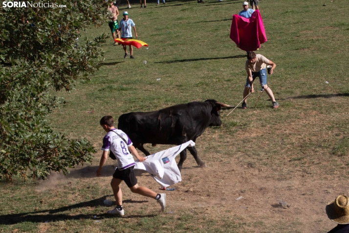 Lavalenguas 2026