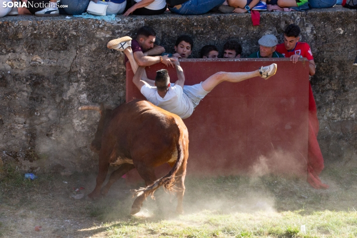 Lavalenguas 2026