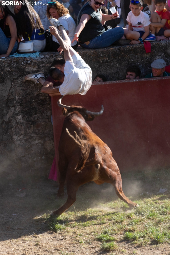 Lavalenguas 2026