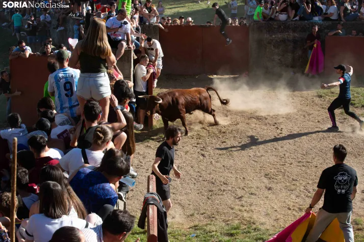 Lavalenguas 2026