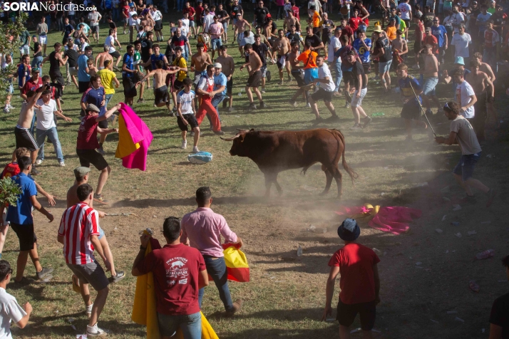 Lavalenguas 2026